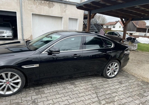 Jaguar XF cena 69900 przebieg: 38000, rok produkcji 2017 z Szubin małe 232